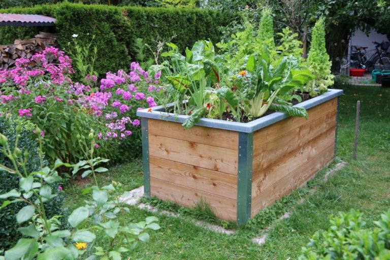 Ein Hochbett ist ideal, um im eigenen Garten Gemüse anzubauen. Foto © vulkanismus stock.adobe.com