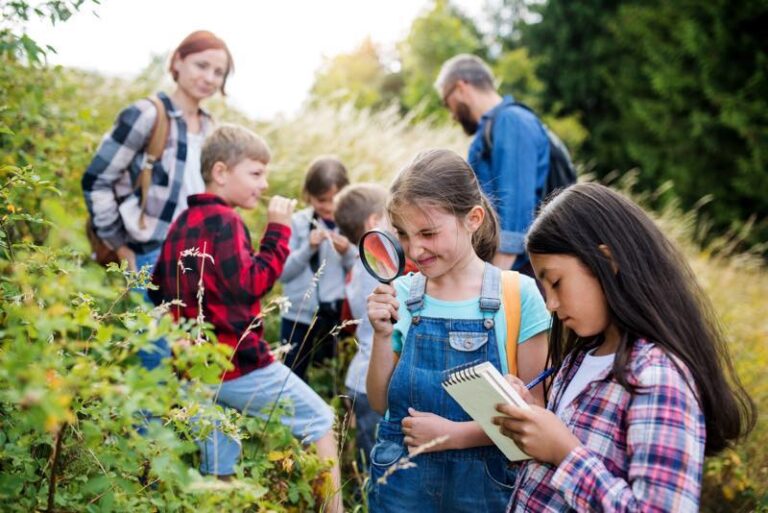 Kinder bekommen Vogänge in der Natur erklärt